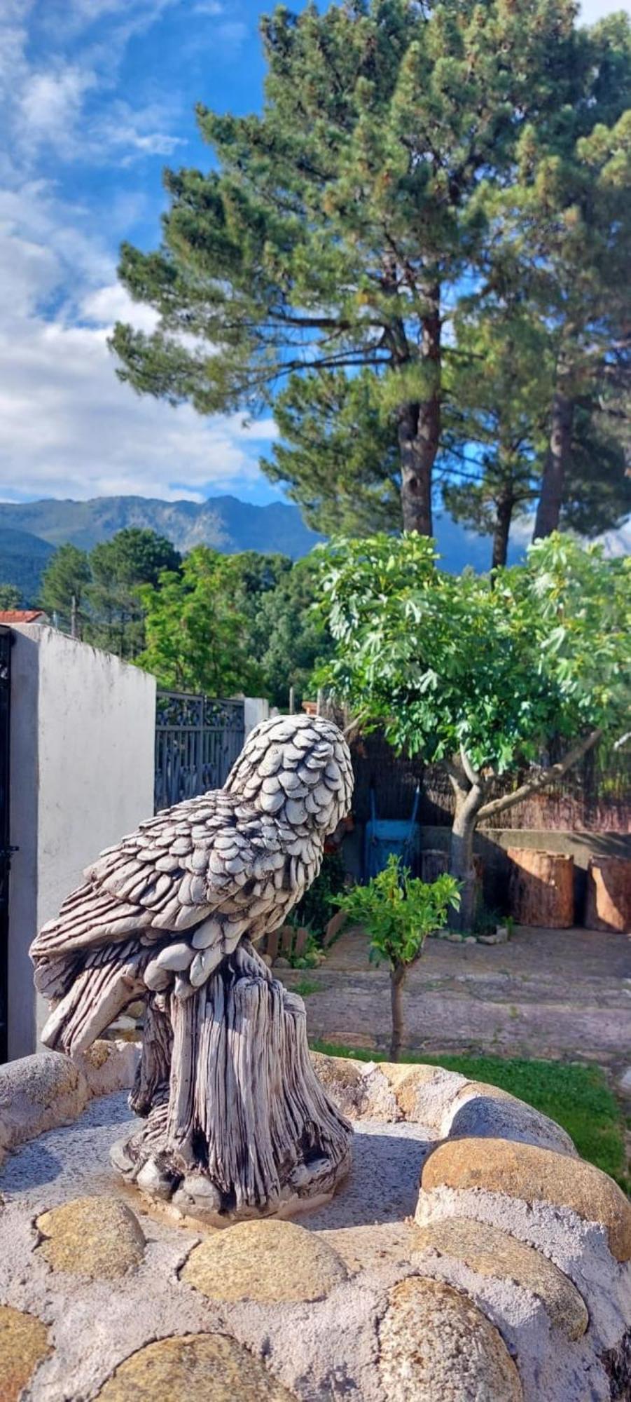 La Lechuza Blanca Villa Casavieja Exteriör bild